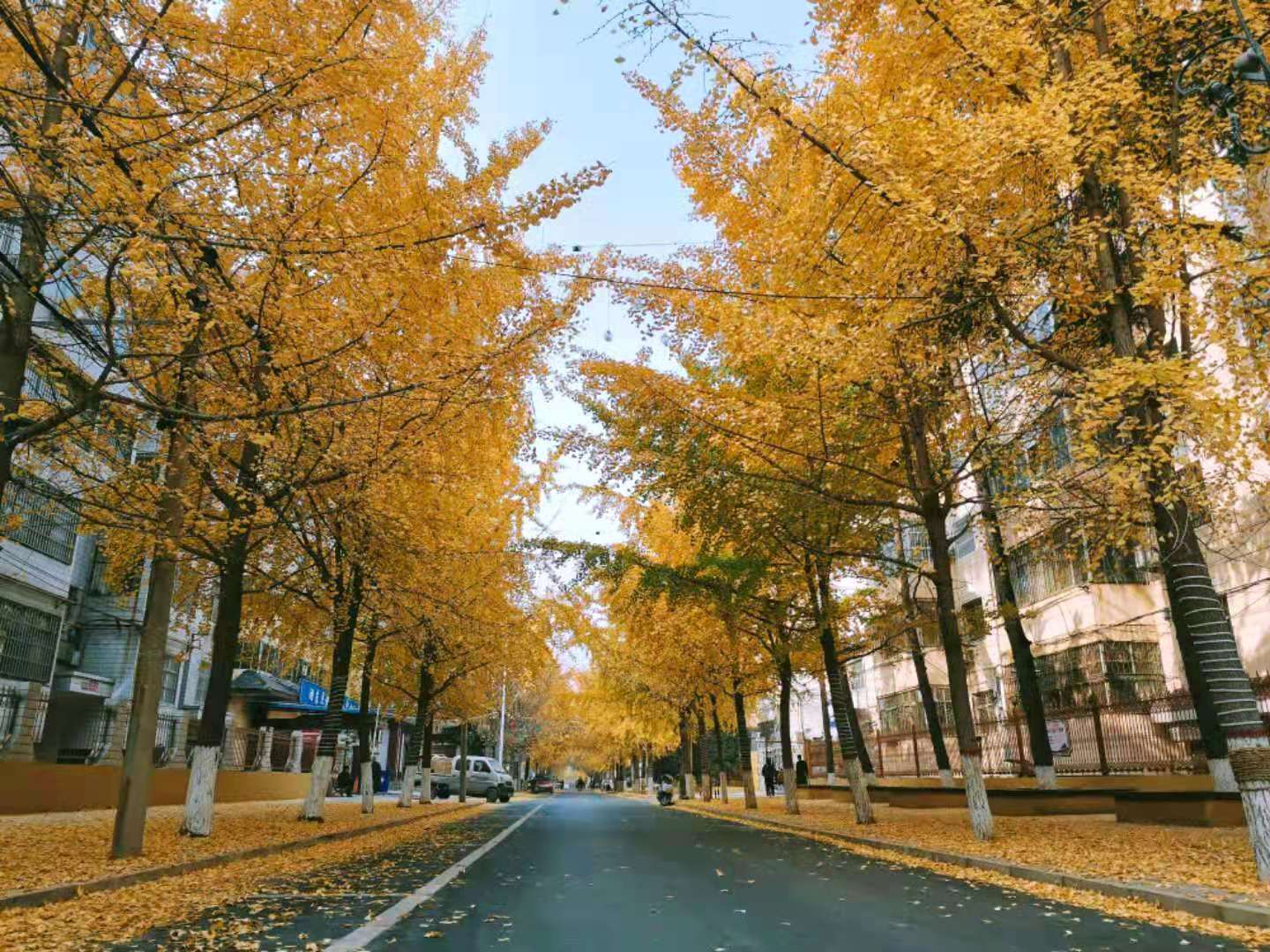 微信图片_202012141829381