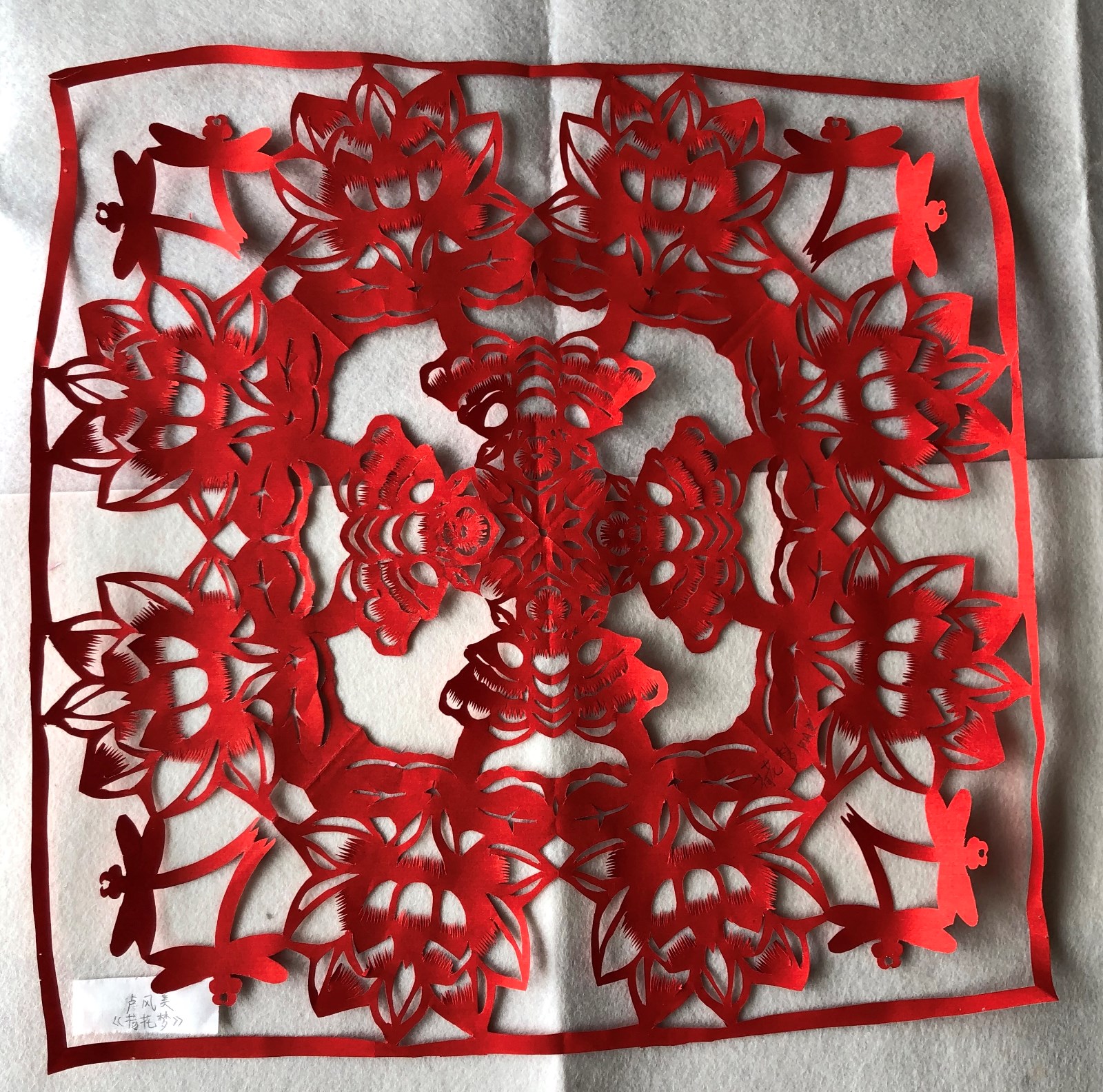 槐荫区文化馆 卢风美《荷花梦》