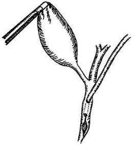 pagenumber_ebook=460,pagenumber_book=445