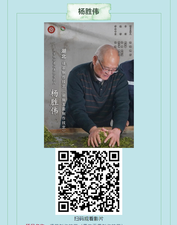 image image.png?v=1765790655728