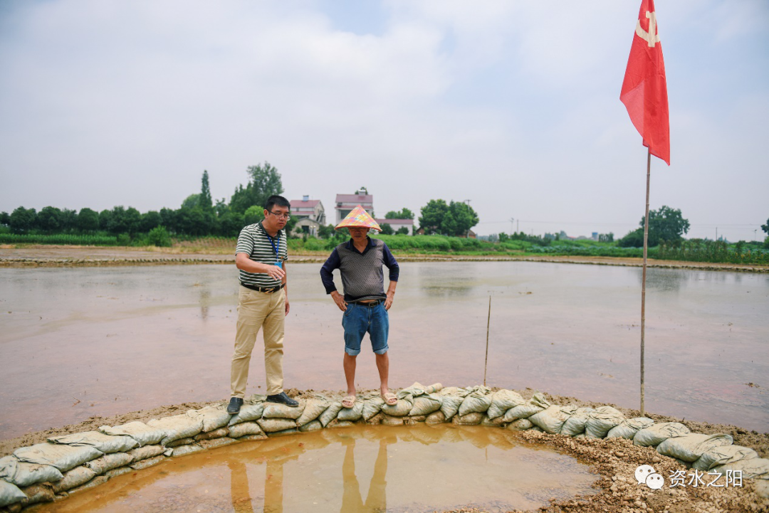 11 11.png?v=1765946446483