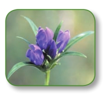 pagenumber_ebook=48,pagenumber_book=35