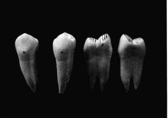 pagenumber_ebook=206,pagenumber_book=197