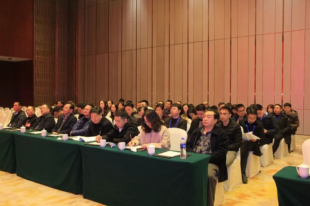 2 2.jpg?v=1765879903339