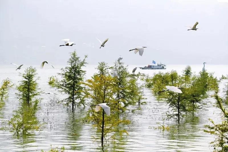 微信图片_20210810143830 微信图片_20210810143830.jpg