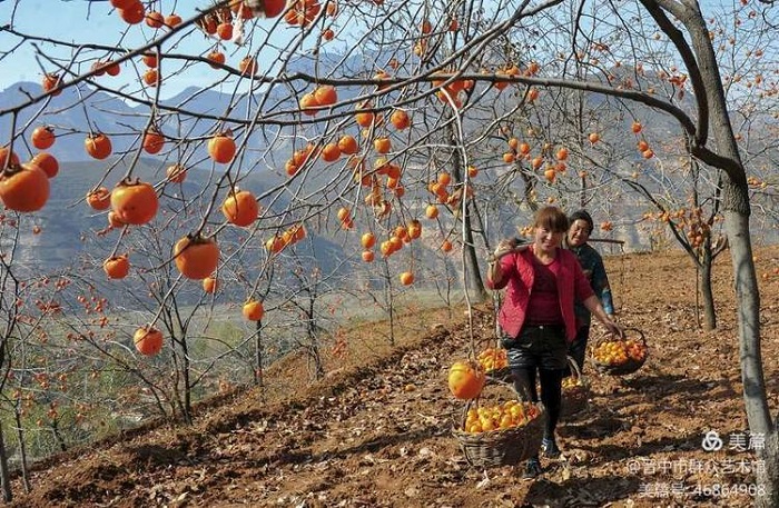 微信图片_20200916152141