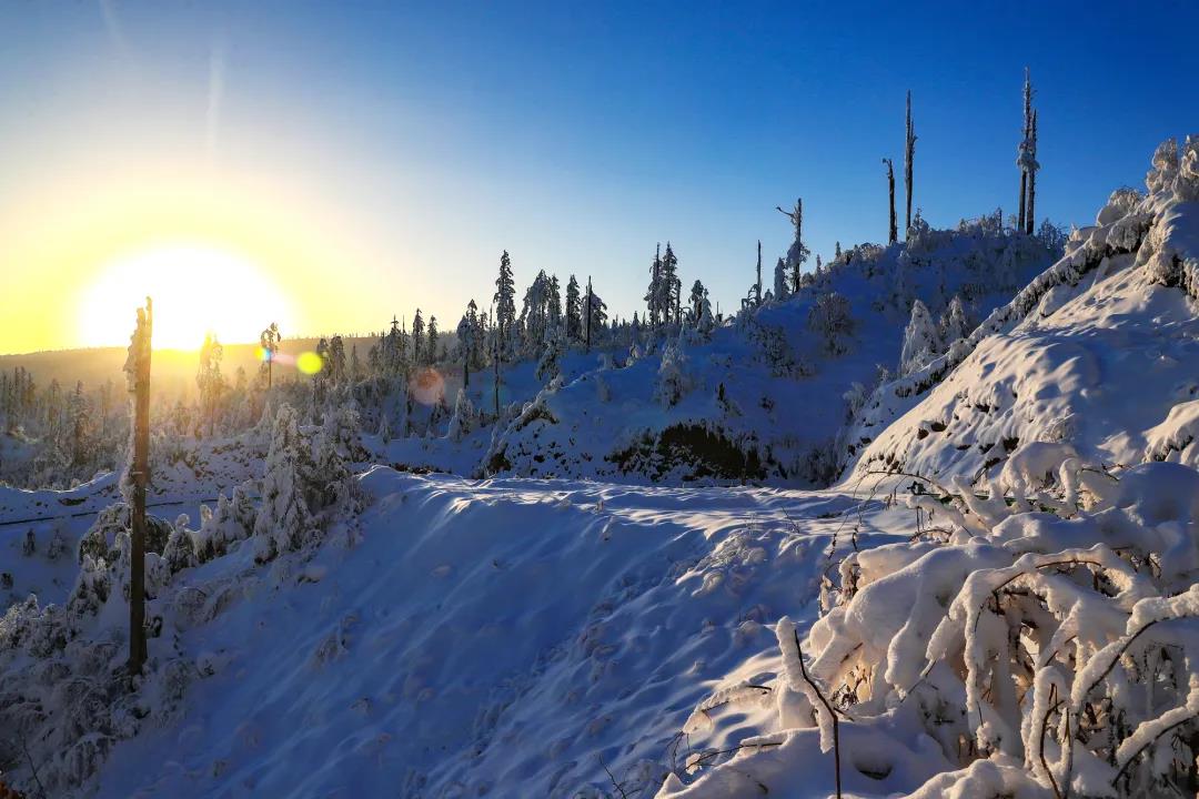 微信图片_20210118161103