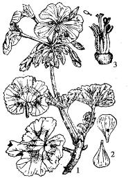 pagenumber_ebook=213,pagenumber_book=213