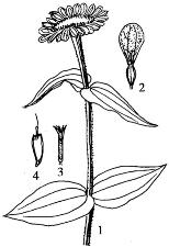 pagenumber_ebook=204,pagenumber_book=204