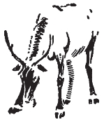 pagenumber_ebook=303,pagenumber_book=295