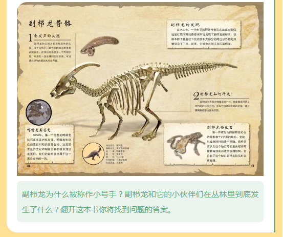 image.png?v=1750240592262