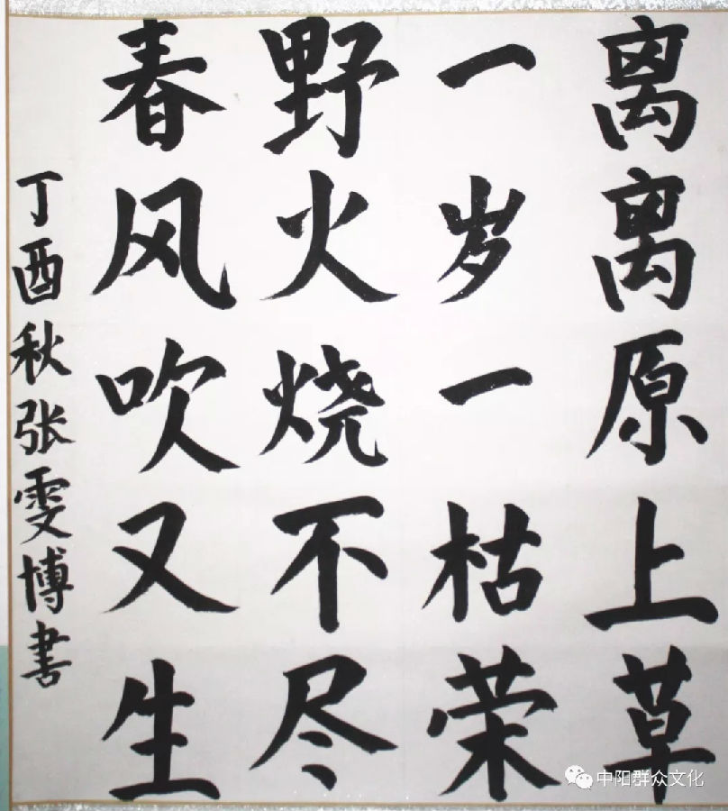 640.webp (10).jpg?v=1764880113128