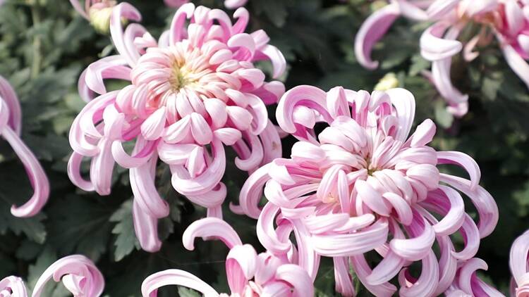 微信图片_20211026163448 微信图片_20211026163448.jpg