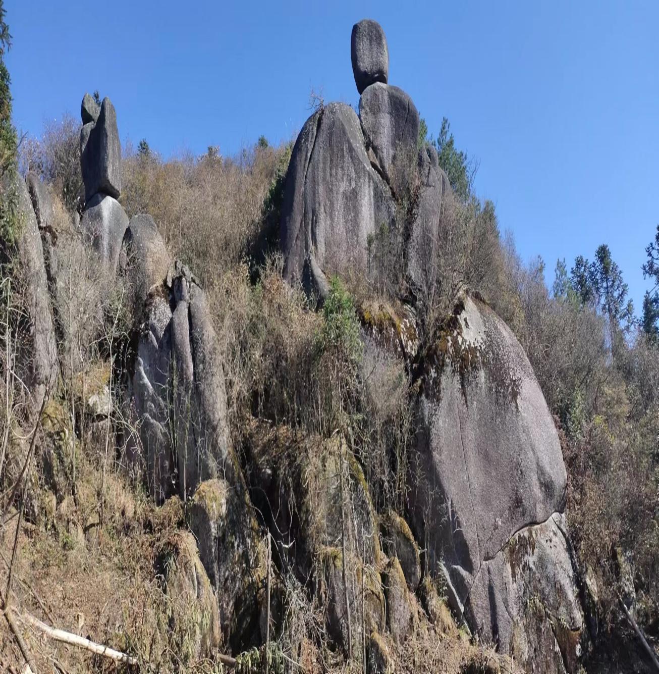 image16 image16.jpeg