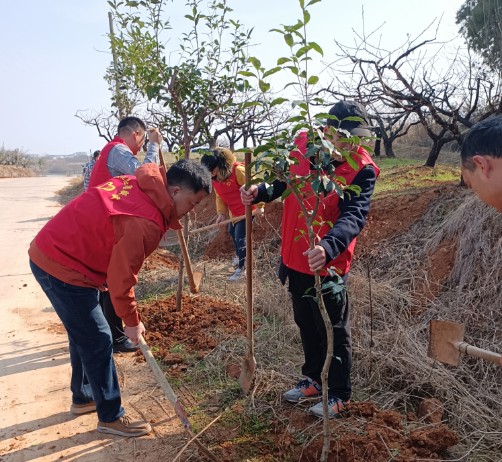 image image.png?v=1762619567231