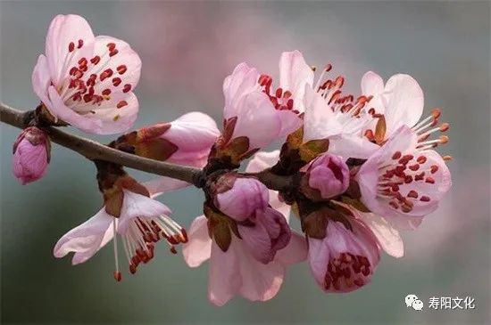 微信图片_20230329164507 微信图片_20230329164507.jpg