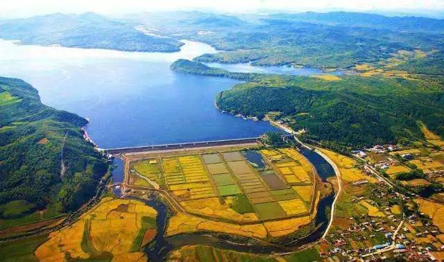 45bc8436e3d4dedd3c0bcea2b619dbb9 45bc8436e3d4dedd3c0bcea2b619dbb9.jpg