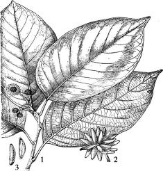 pagenumber_ebook=83,pagenumber_book=83