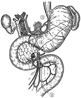 pagenumber_ebook=493,pagenumber_book=478