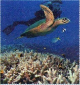 pagenumber_ebook=118,pagenumber_book=109