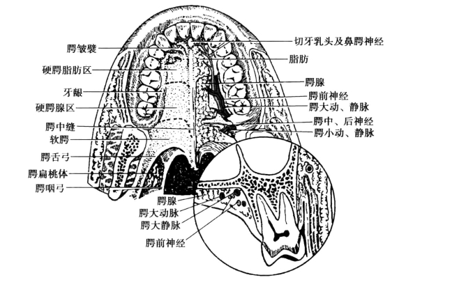 pagenumber_ebook=111,pagenumber_book=102