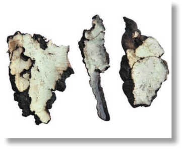 pagenumber_ebook=113,pagenumber_book=100