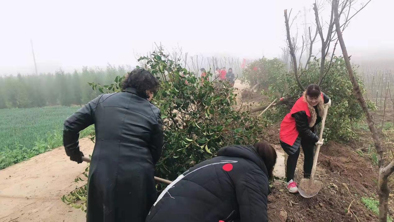 五一劳动节植树活动