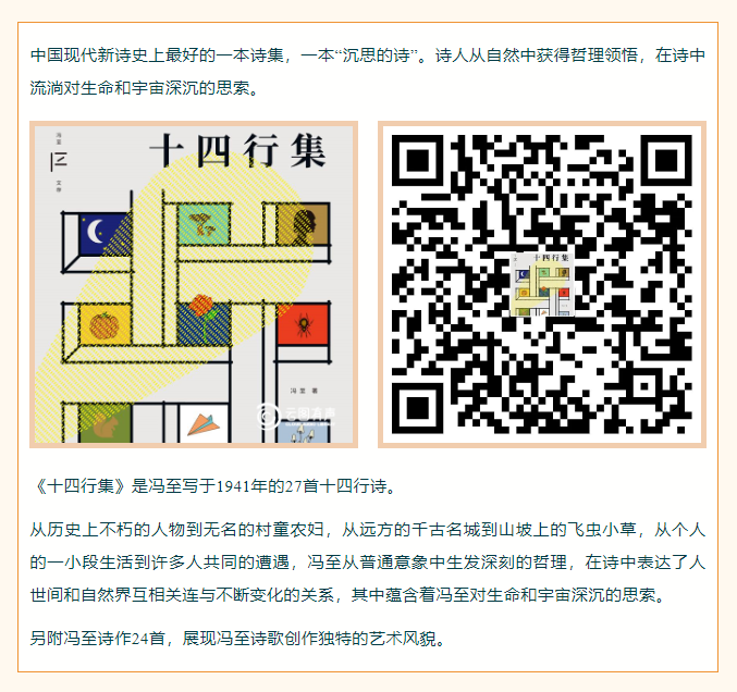 image.png?v=1754494547999