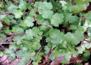 pagenumber_ebook=166,pagenumber_book=158