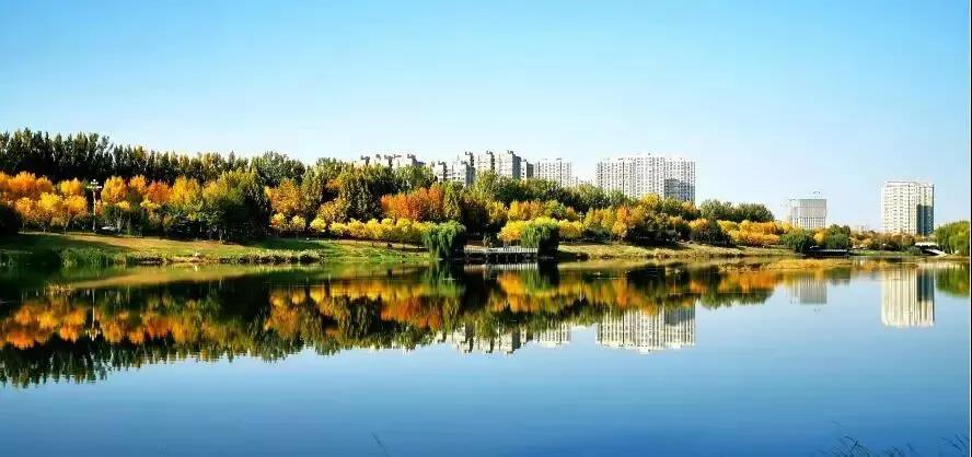 微信图片_20210318100031 微信图片_20210318100031.jpg