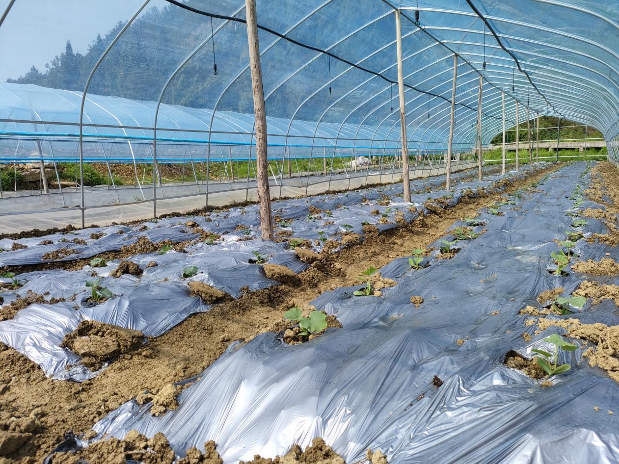 wps_doc_23 wps_doc_23.jpeg