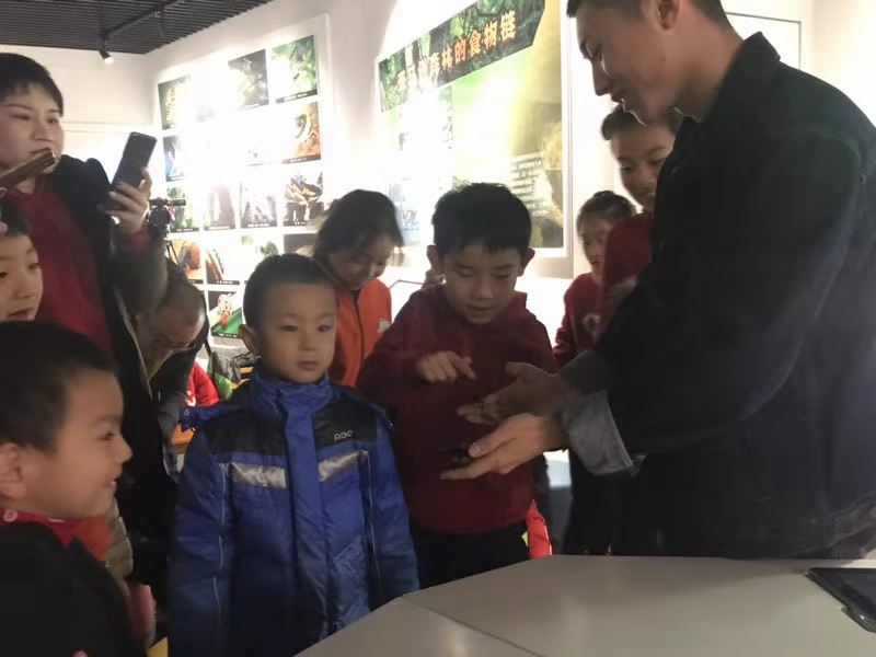 孩子触碰真实的爬行动物。 段冉摄影 孩子触碰真实的爬行动物。 段冉摄影.jpg?v=1764640513961