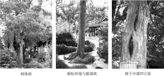 pagenumber_ebook=70,pagenumber_book=70