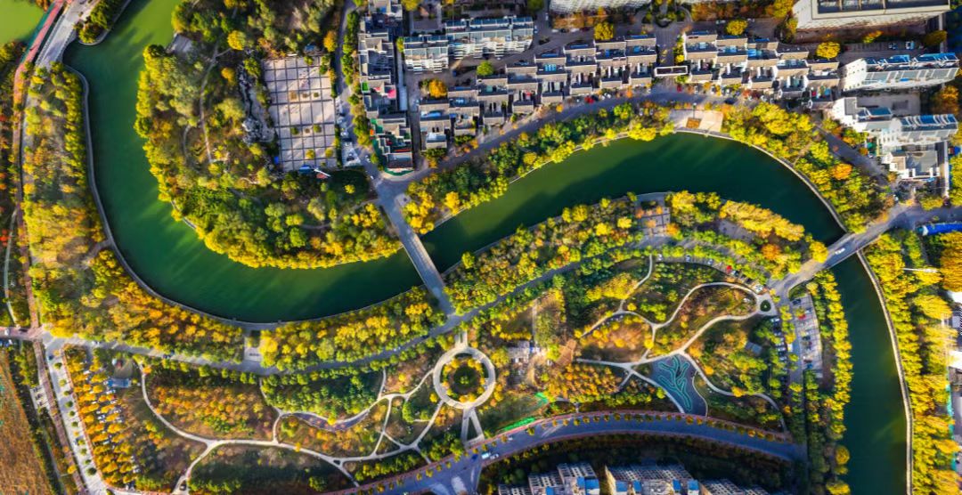 1786936563 1786936563.jpg