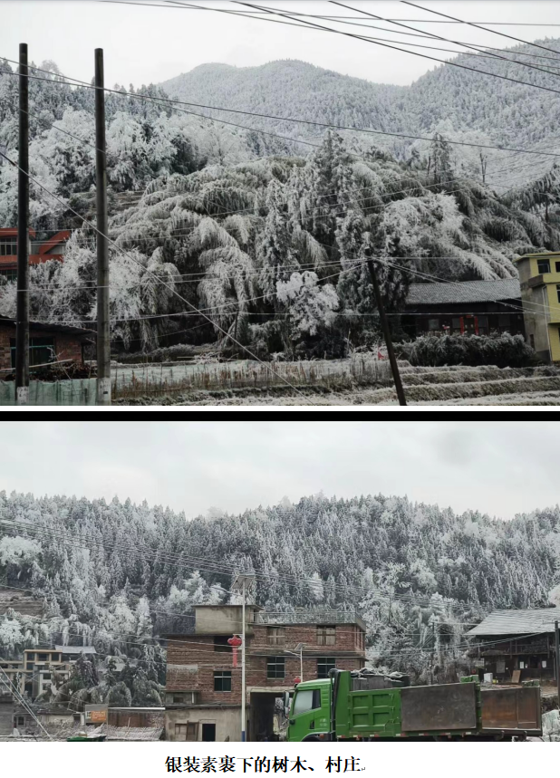 1732352915813 1732352915813.png