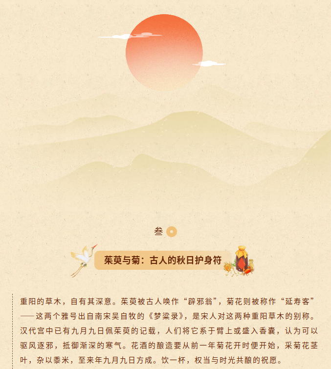 image.png?v=1792103996172
