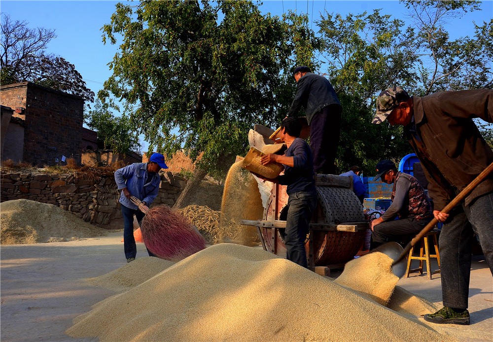 2016.10.8.9.幸福太行山 拍摄地址:寿阳山村谷场皮变仙      402