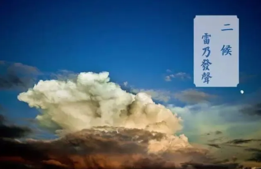 image image.png?v=1784605719266