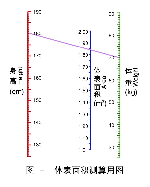 8-人体表面积测算用图 .jpg