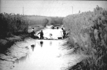 pagenumber_ebook=514,pagenumber_book=502