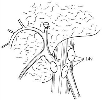 pagenumber_ebook=332,pagenumber_book=317