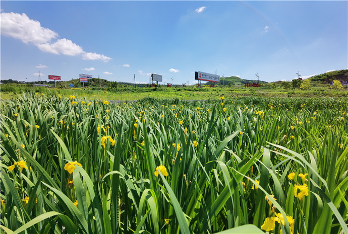 微信图片_20200708163501 微信图片_20200708163501.jpg