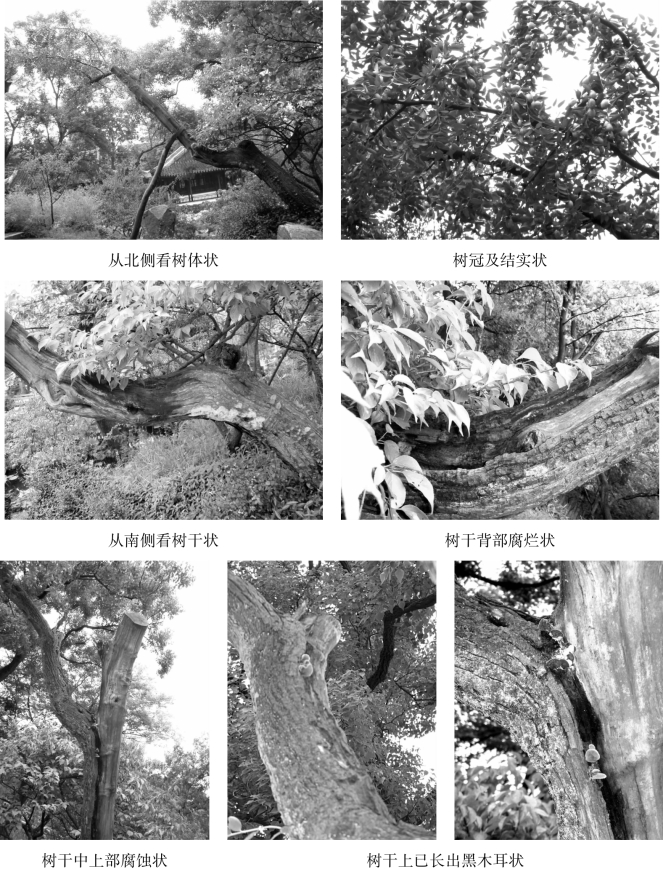 pagenumber_ebook=93,pagenumber_book=93