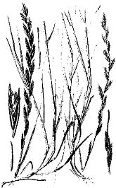 pagenumber_ebook=248,pagenumber_book=248