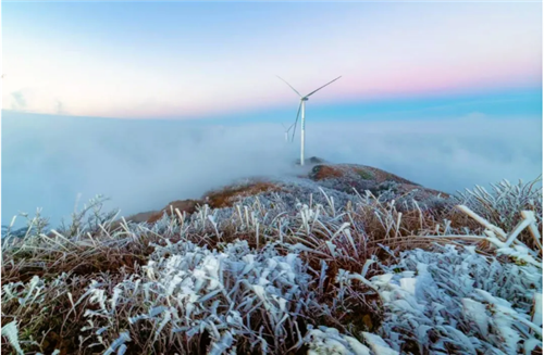 微信图片_20201205193727 微信图片_20201205193727.png