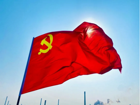 image image.png?v=1770180717485