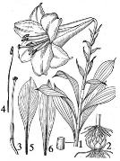 pagenumber_ebook=222,pagenumber_book=222