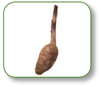 pagenumber_ebook=241,pagenumber_book=228