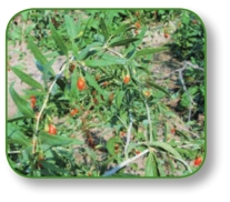 pagenumber_ebook=287,pagenumber_book=274