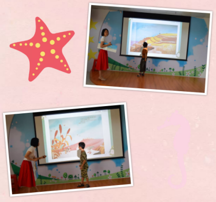 image image.png?v=1772873447310